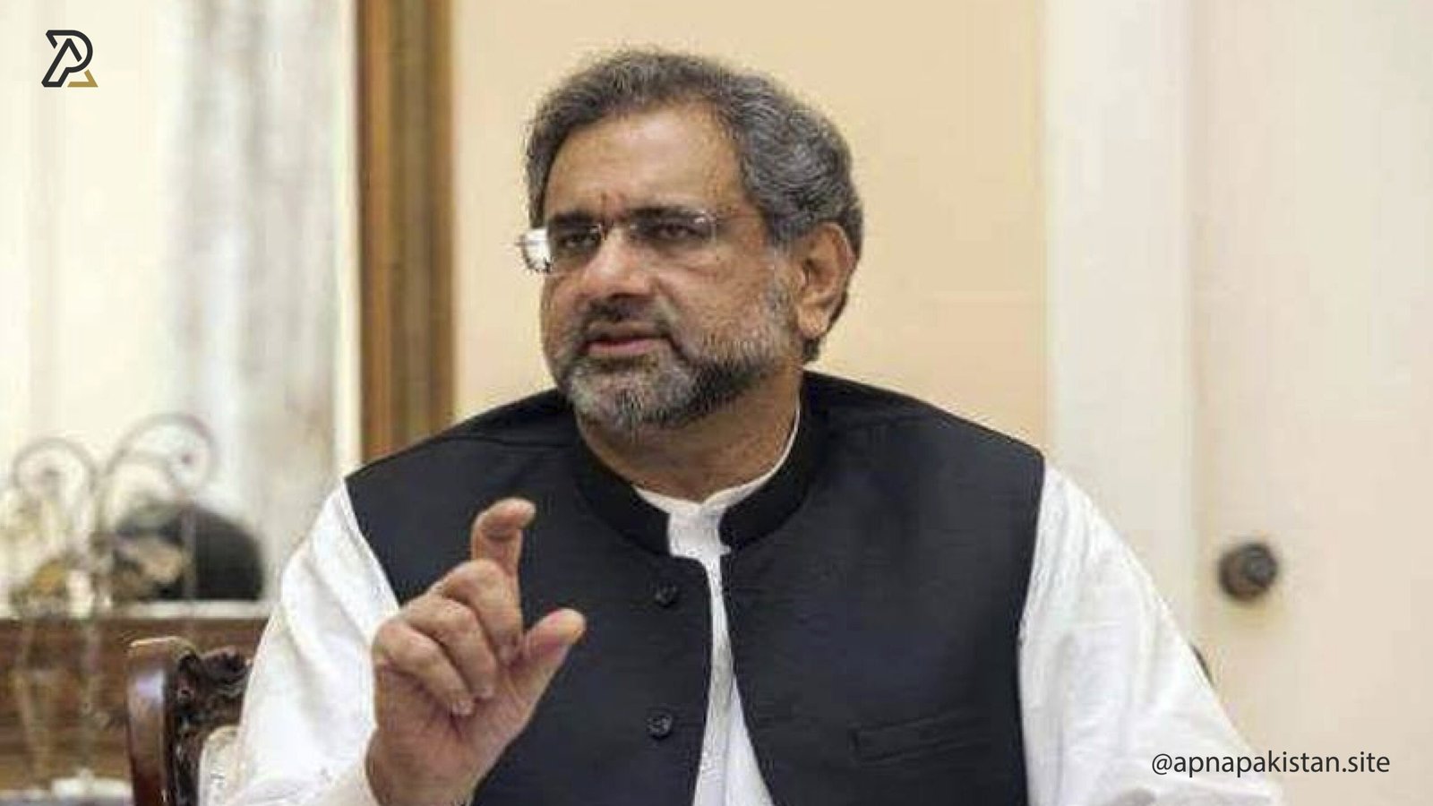تعلیم اور صحت کے نظام بد سے بدتر ہوتے جارہے ہیں، پنجاب ایک پولیس اسٹیٹ بن چکی ہے، شاہد خاقان عباسی